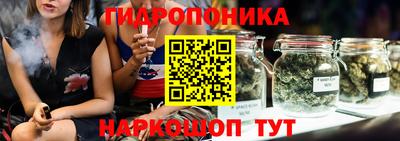 индика Заволжье