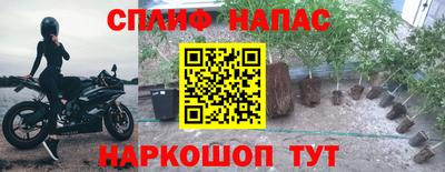 дживик Будённовск