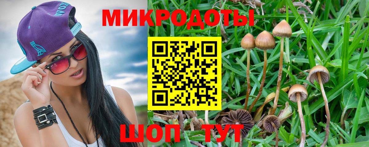 Псилоцибиновые грибы Magic Shrooms  Вход с VPN  Королёв 