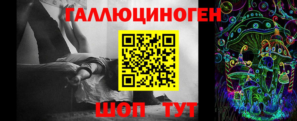 Псилоцибиновые грибы GOLDEN TEACHER Королёв